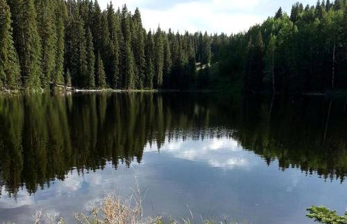 Spacious Mountain Ski Cabin situated on the Grand Mesa, Colorado - Foto 12