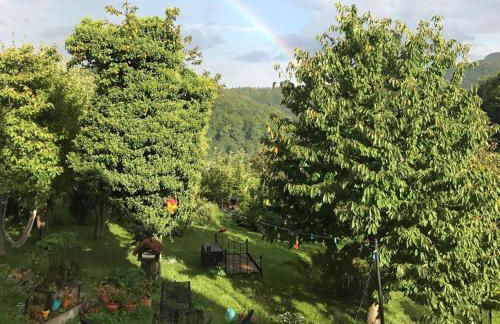 Ferienhaus Thalblick in Ruhla - Foto 10