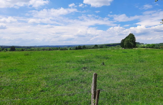 Wonderful Holiday Home in Gouvy with Hot Tub - Photo 49