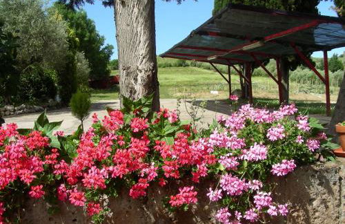 Pier Delle Vigne B&B - Foto 78