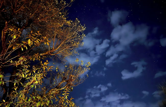 Luxsugero Cottages Premium - Foto 43