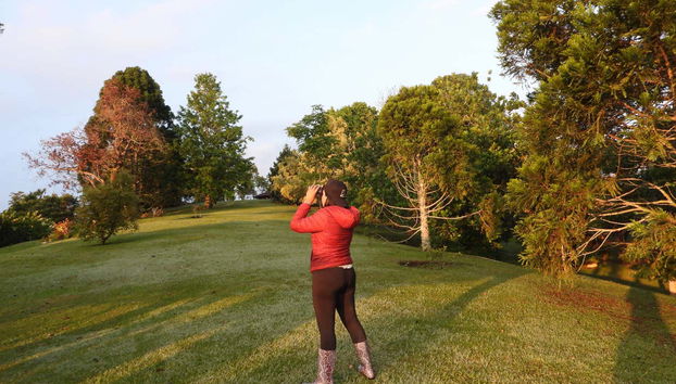 Bird-watching in Filandia