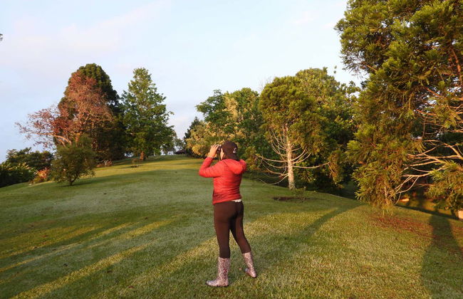 Bird-Watching at Barbas Bremen - Photo 3