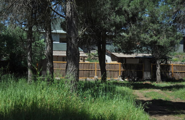 Hamakom Belrom - Photo 18