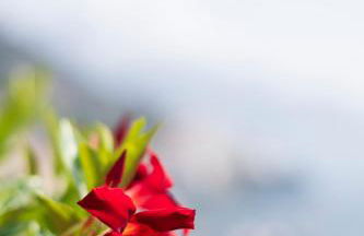 Skyview Paradise House - Photo 5