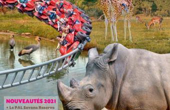 Idéale famille, tout y est ! - Foto 20