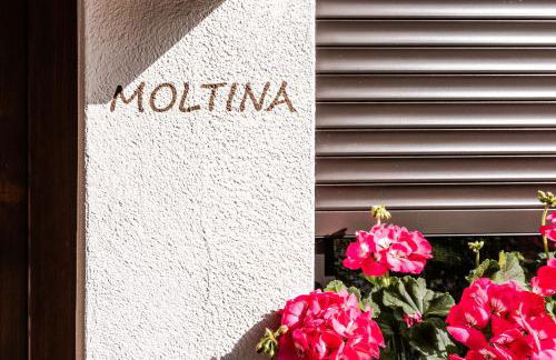 Apartment Ciasa Laoi - Foto 47