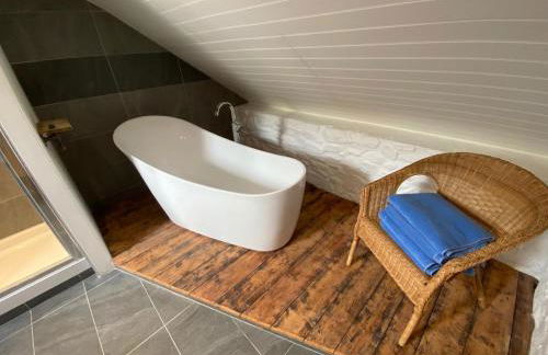 No 2 Dolheulog Aberaeron - Foto 12