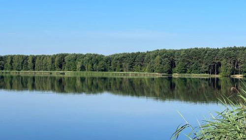 Family & Business Sauna Tężnia Apartments No18 Leśny nad Zalewem Cedzyna -1 Bedroom with Private Sauna, Bath with Hydromassage , Terrace, Parking, Catering Options - Foto 2