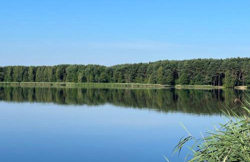 Family & Business Sauna Apartments No1 Leśny nad Zalewem Cedzyna Unikat - 3 Bedroom with Private Sauna, Bath with Hydromassage, Terrace, Garage, Catering Options - Foto 9