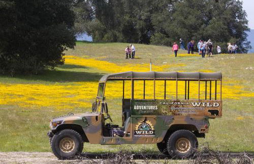 Oakwood Lodge - Foto 49