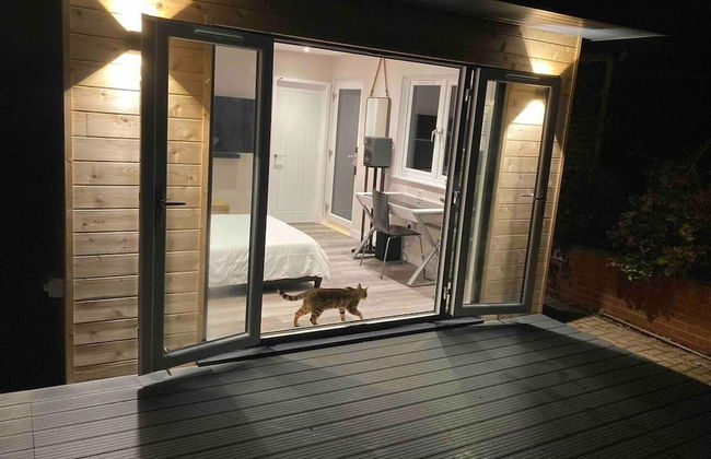 Contemporary Guest House With Outside Barrel Sauna - Foto 14