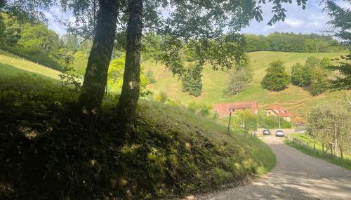 Gîte marguerite - Foto 4