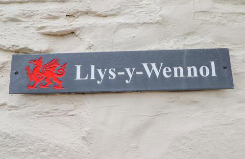 Llys-y-Wennol - Foto 21