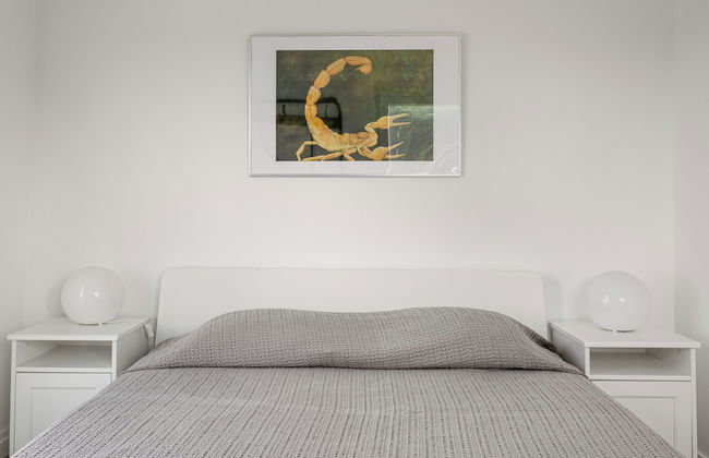 Pinhal da Praia em Melides - Foto 11