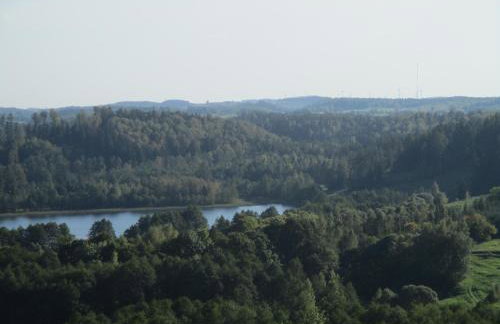 Dworek Telimena - Foto 26