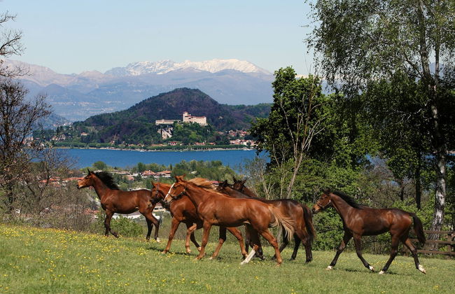 La Cucchetta - Foto 39
