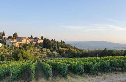 Il Nespolo Charming Apartment Fonterutoli - Foto 8