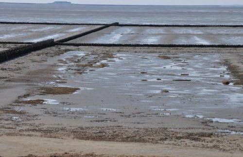 Op Lundingland - Photo 8