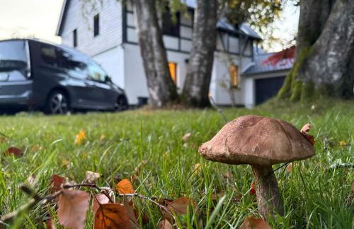 Haus Zeitlos - Foto 10