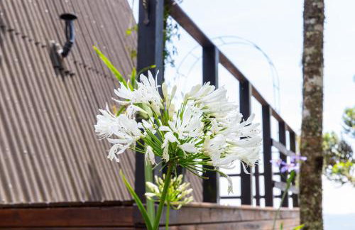 Alma Cabanas De Altitude - Urubici - Photo 48