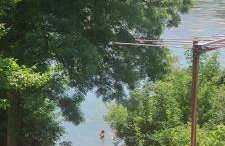 Queen bee's nest - Foto 13