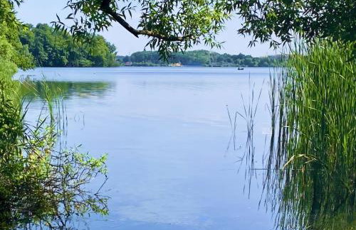 Das Sommerhaus - im Land der tausend Seen - Foto 29