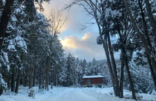 Unique and Private 25ft Waterfall House in Hunter - Foto 77