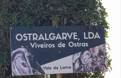 Apartment Sunshine - Golfplayer and Holidays - Foto 22