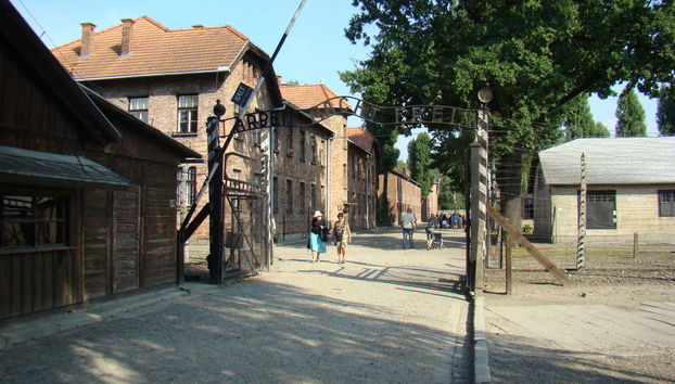 Auschwitz and Salt Mine Private Tour - Foto 3, Admission to Auschwitz