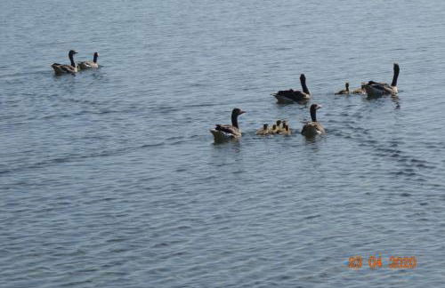 Ferienhaus TRAUM AM SEE mit Sauna und Whirlpool - Foto 33