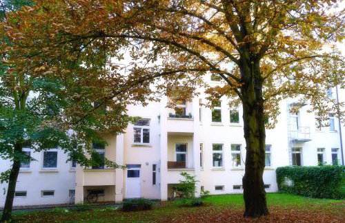 Bezaubernde Altbauwohnung im Herzen von Magdeburg - Photo 19