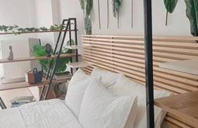 Φρίντα στο κέντρο της Ορεστιάδας - Foto 6