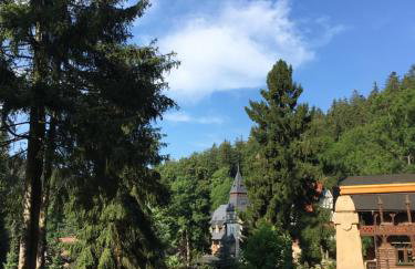 Willa Trebla - Foto 51