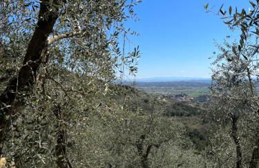 Agriturismo Campo dei Lupi - Foto 22