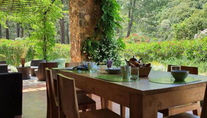 Domaine Codaleone - Foto 5