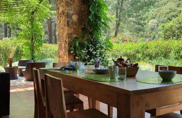 Domaine Codaleone - Foto 5