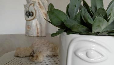 Casa in villaggio minerario vicino Massa Marittima - Foto 3