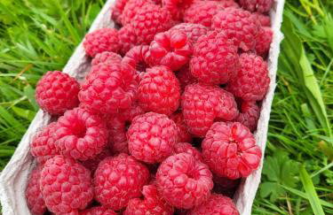 Apartament Różane Wzgórze - Foto 56