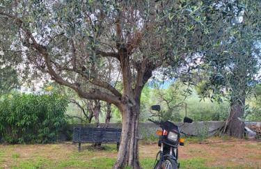 Rifugio della Pace Piano terra e Primo Piano - Photo 77