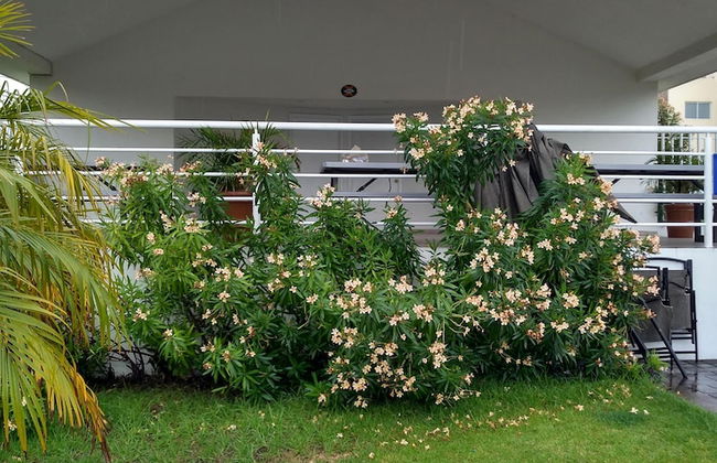 Pizarra House Residensial V - Foto 19