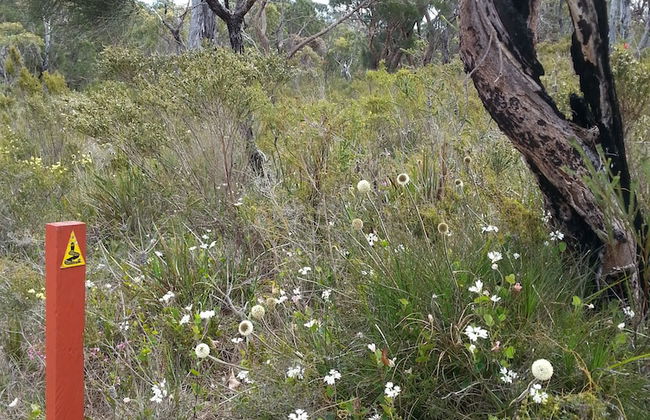Nutkin Lodge - Photo 54