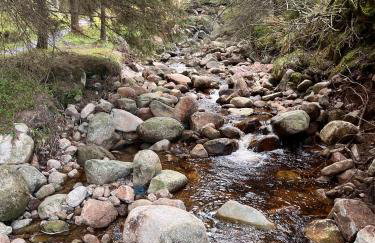 Mourne Mountain Bliss, Rostrevor 4BR Cottage with Patio & BBQ ideal for a relaxing getaway - Photo 20