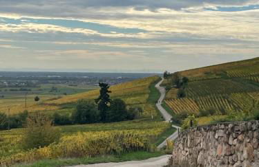 La Cour Zaepffel - Foto 2