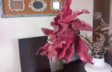 Fox's Sunshine - Foto 14