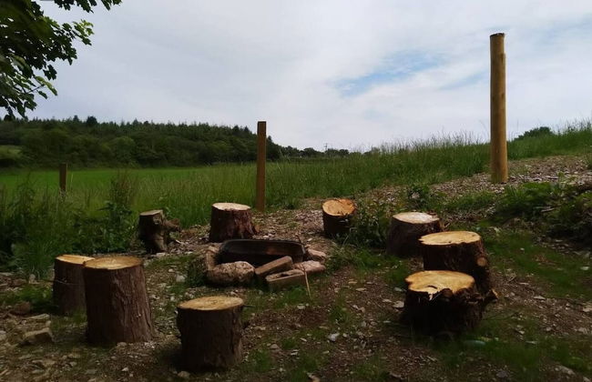 Pilgrims Shepherd's Hut - Goosewell Glynn Glamping - Foto 10