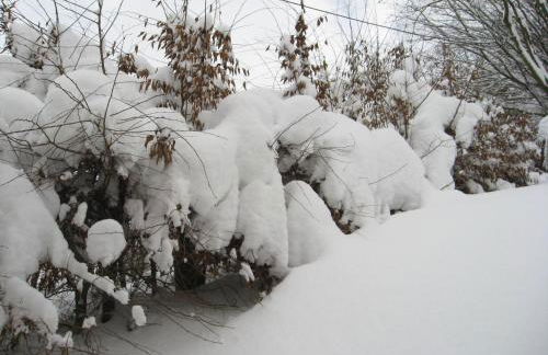 Hausamaarbach - Foto 24