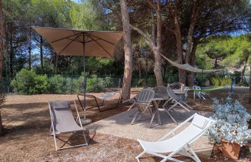 Riccio di Mare - Foto 27