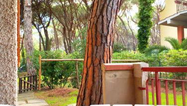 Casa Ricciola - Foto 5, Garden