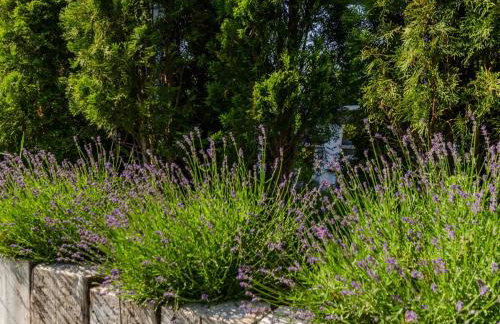 Wiejska 21 - Foto 18